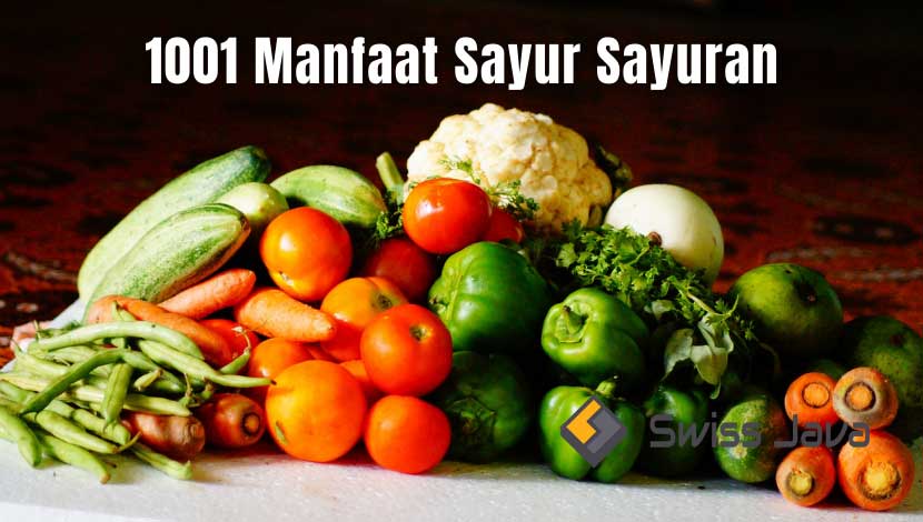 1001 Manfaat Sayur Sayuran