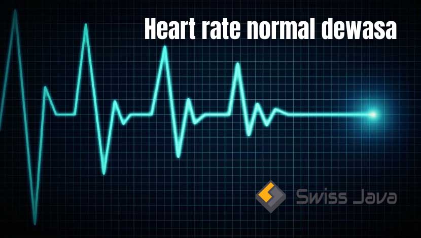 Heart rate normal dewasa