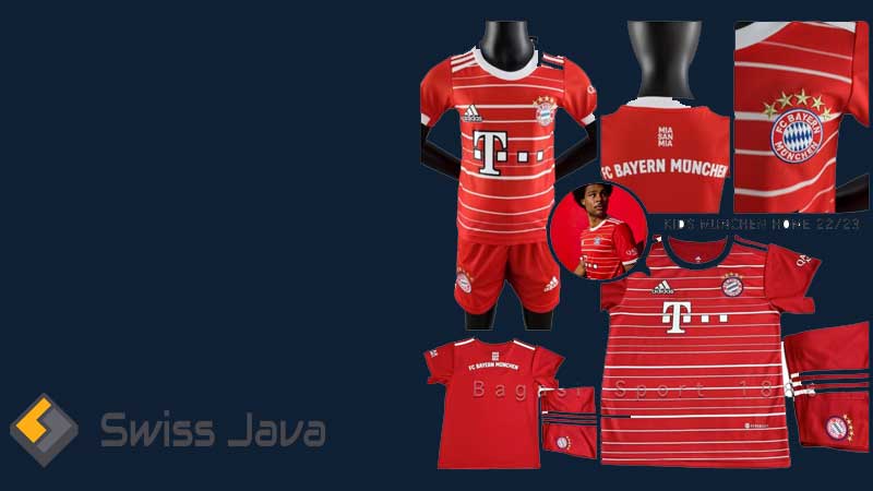 Kit DLS Bayern Munchen Terbaru 2024/ 2024 + Logo